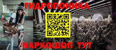 мяу мяу мука Будённовск