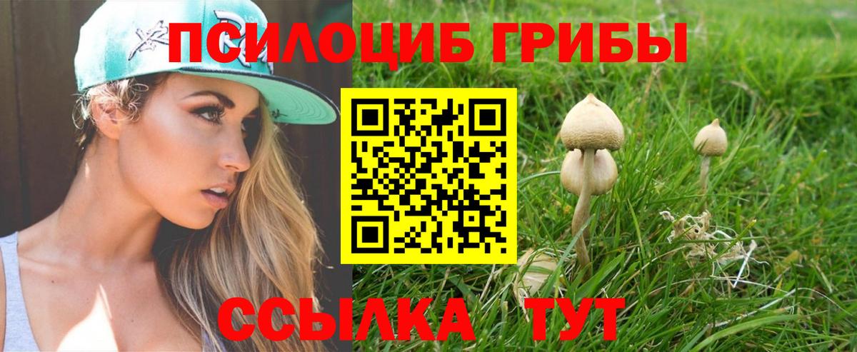 Лангепас  Псилоцибиновые грибы GOLDEN TEACHER  Галлюциногенные грибы MAGIC MUSHROOMS  Вход с VPN 